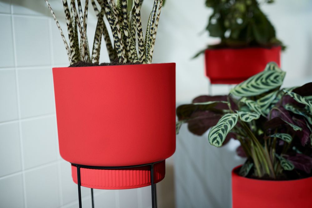 B.for Studio Schaal 30