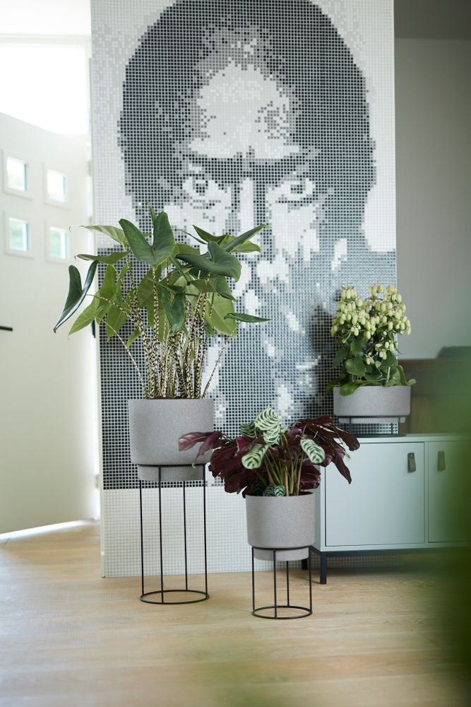 B.for Studio Schaal 30