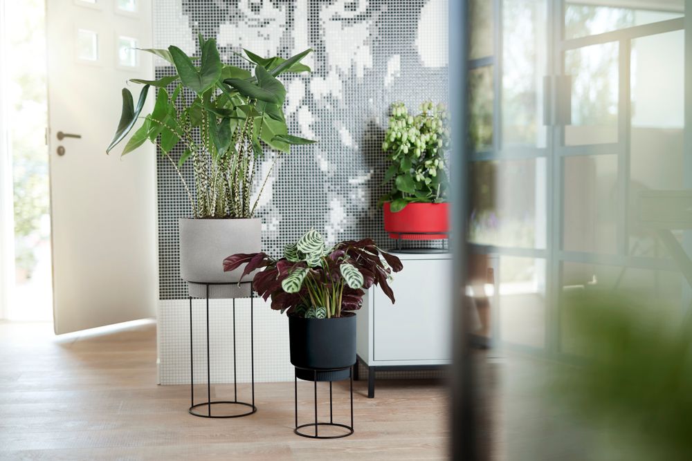 B.for Studio Rond 22