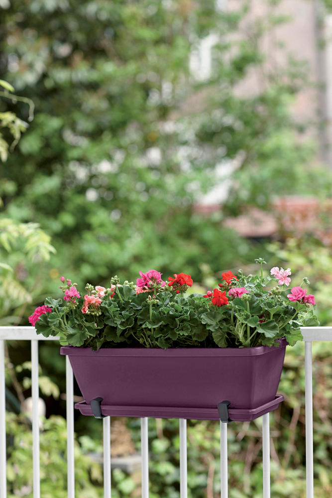 Barcelona Balkonbak Schotel 50