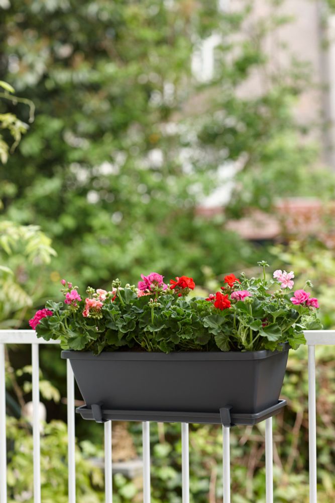 Barcelona Balkonbak Schotel 50