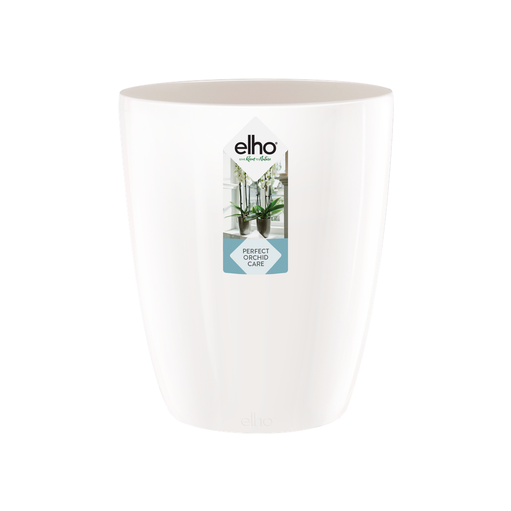 Brussels Diamond Orchidee Hoog 12,5