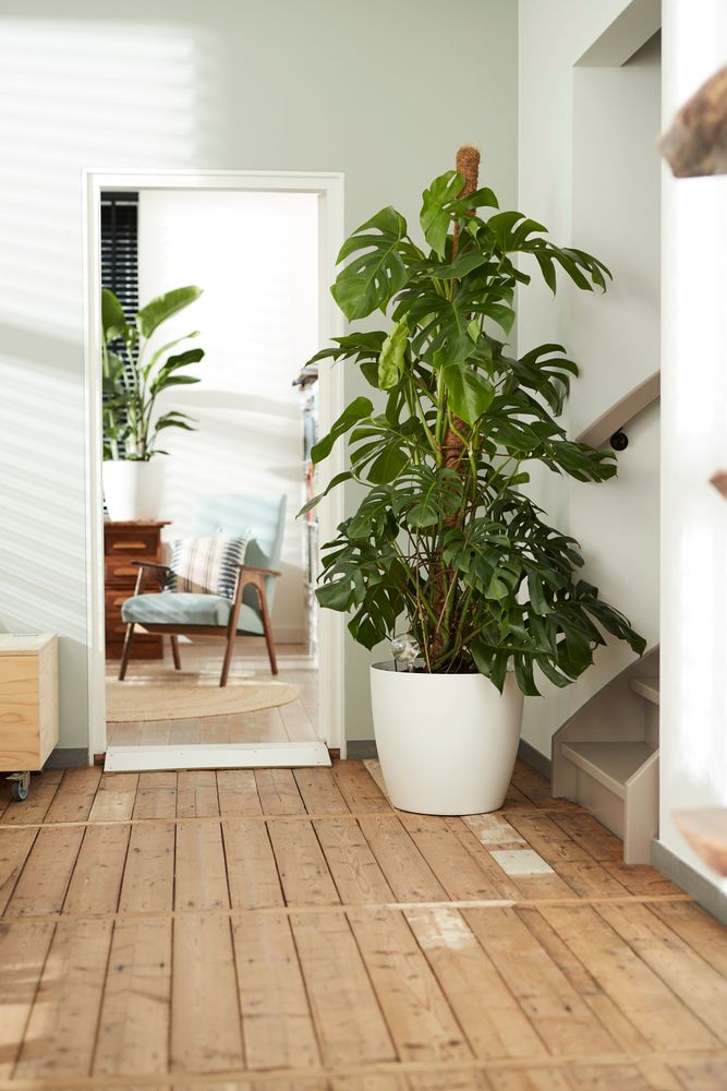 BNDL Brussels Rond Wielen 35, 40