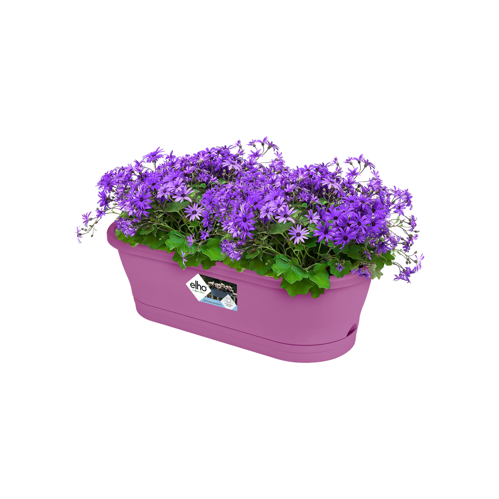 Corsica Easy Balcony 60