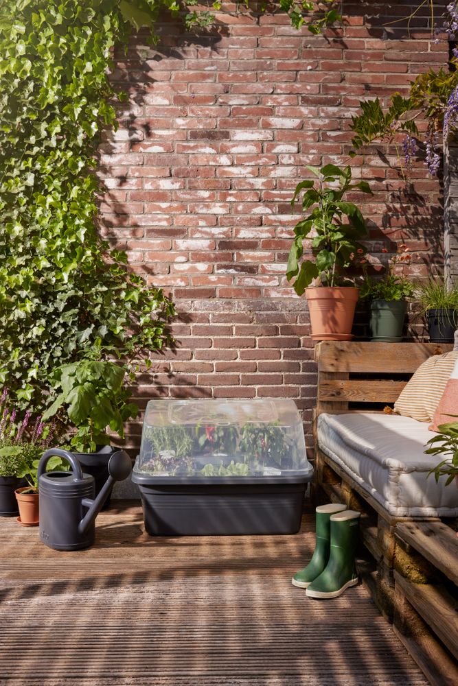 Green Basics Grow Garden Kweekhuis L