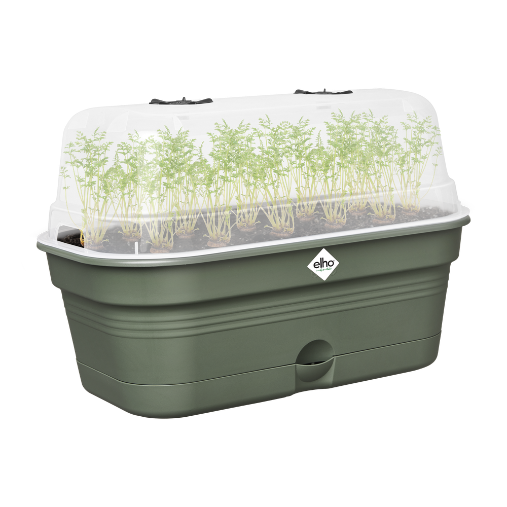 Green Basics Kweektray Allin1 M