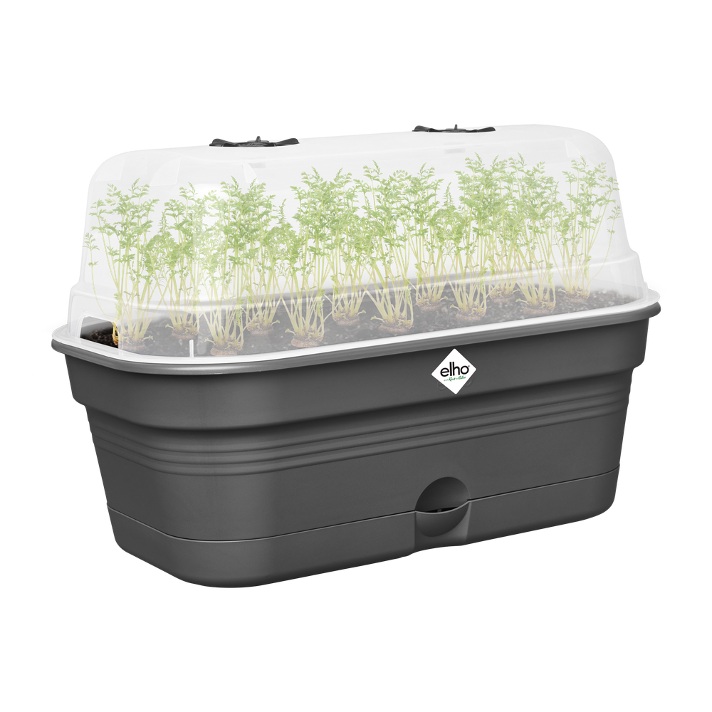 Green Basics Kweektray Allin1 M