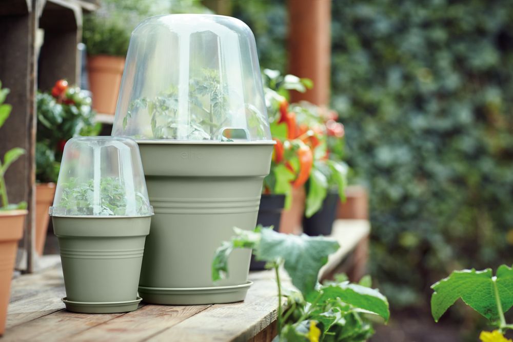 Green Basics Kweekpot 35