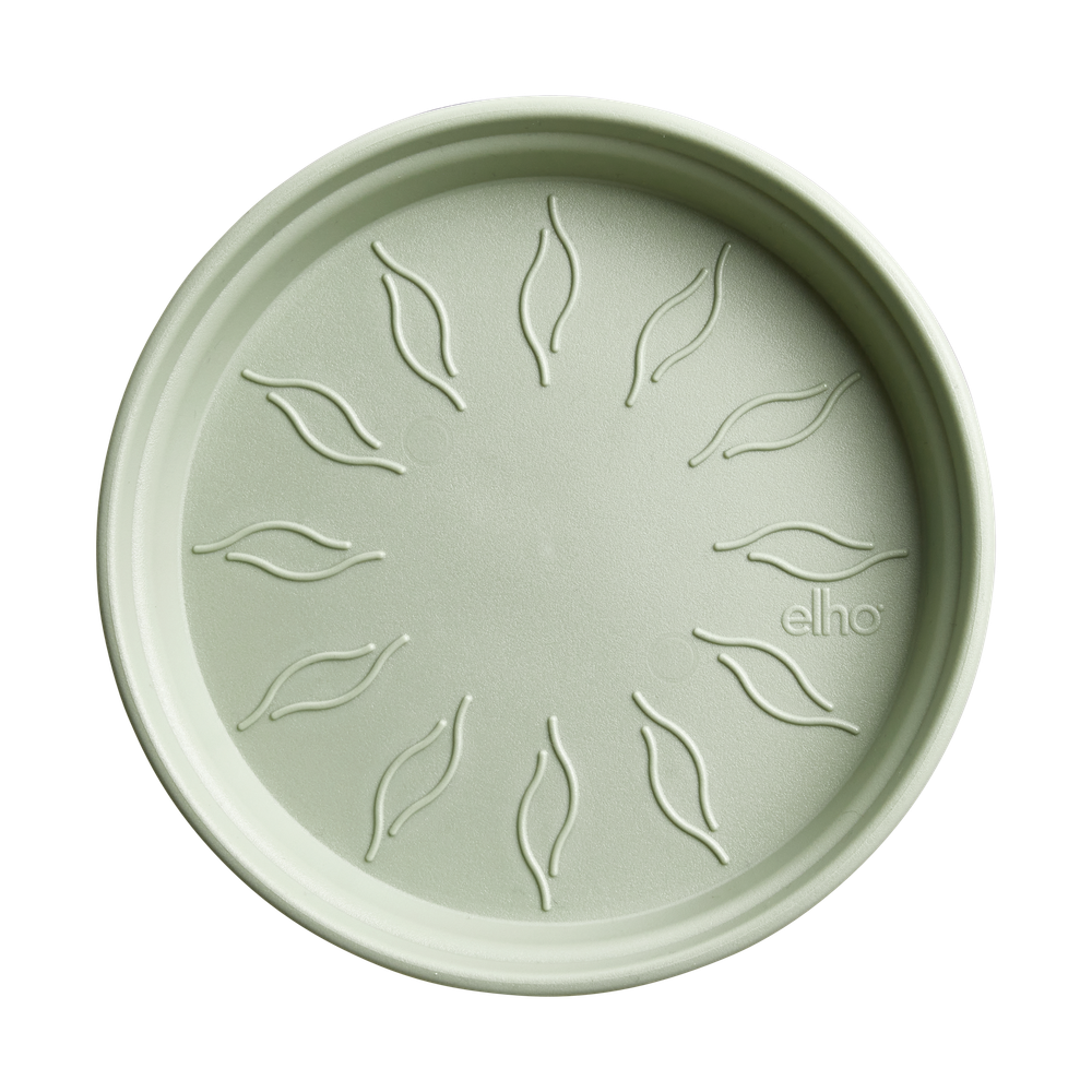 Green Basics Schotel 22