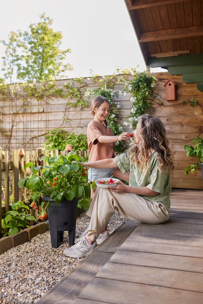 Green Basics Aardbeien Pot 33
