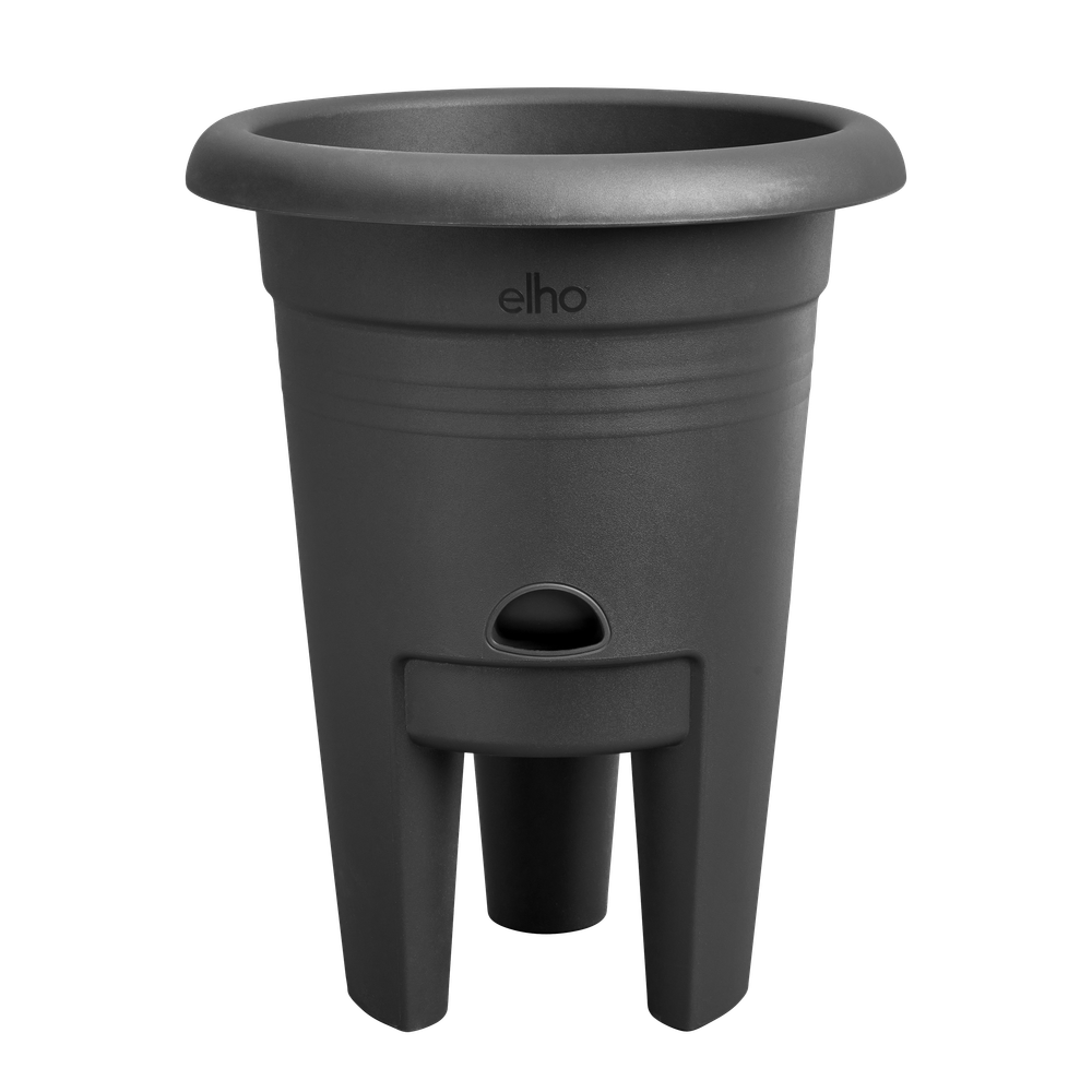 Green Basics Aardbeien Pot 33
