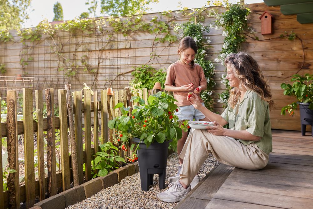 Green Basics Aardbeien Pot 33