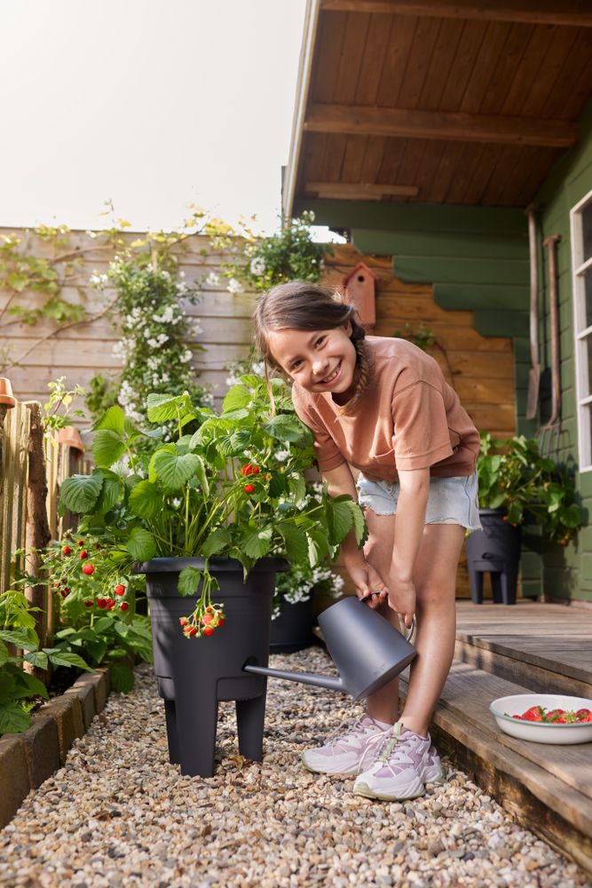 Green Basics Aardbeien Pot 33