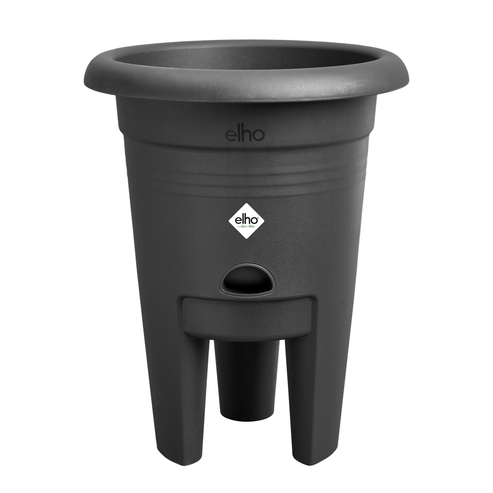 Green Basics Aardbeien Pot 33