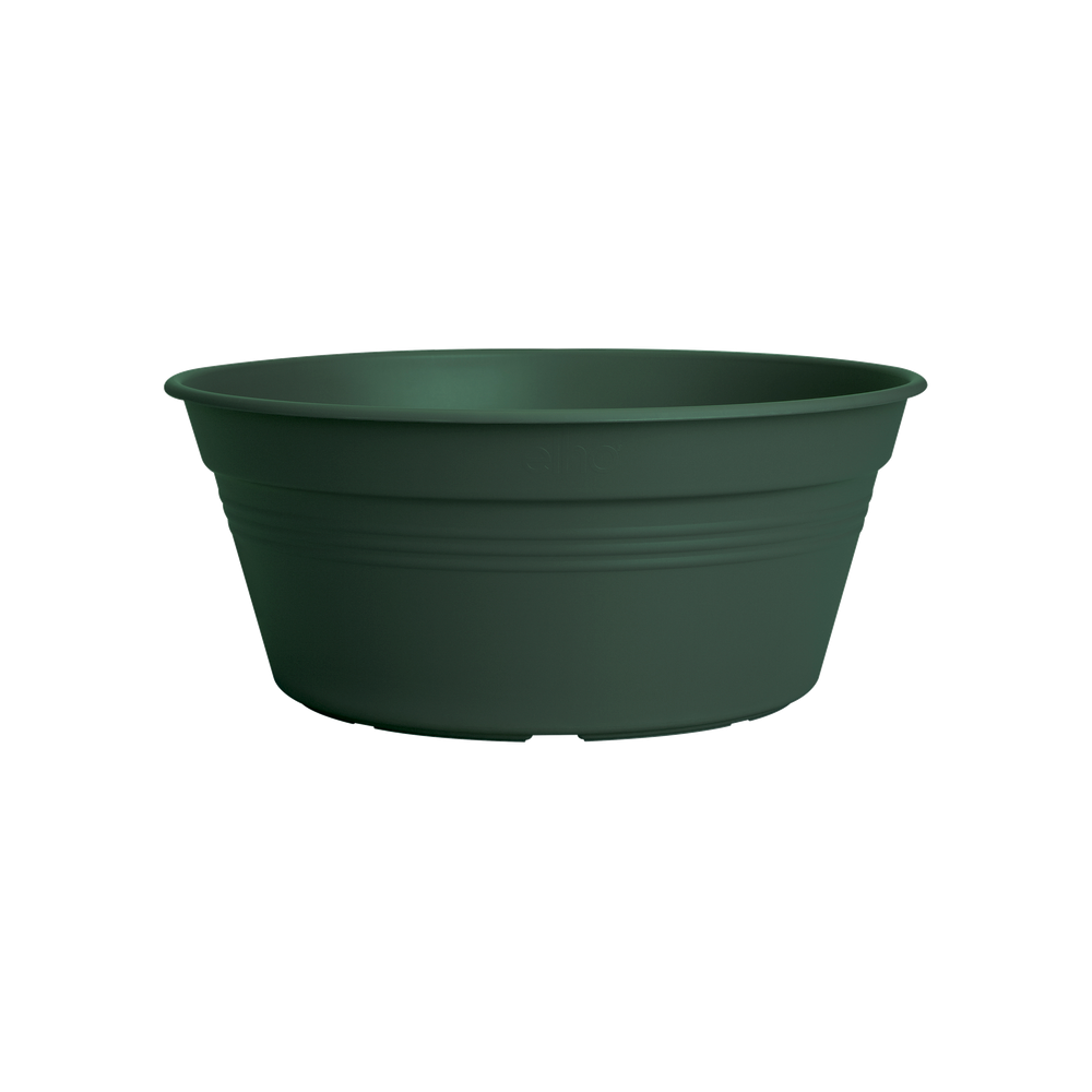 Green Basics Schaal 38