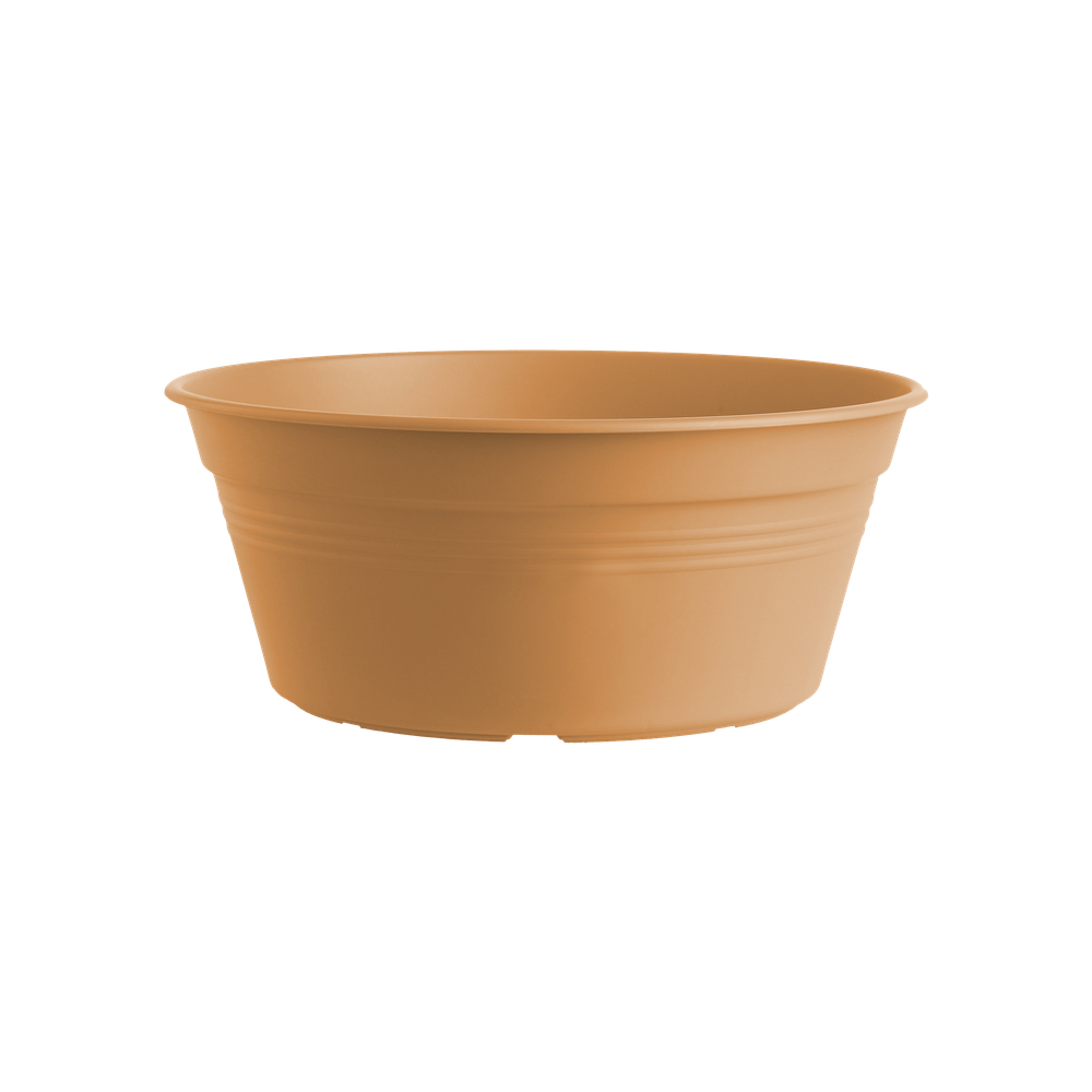 Green Basics Schaal 38