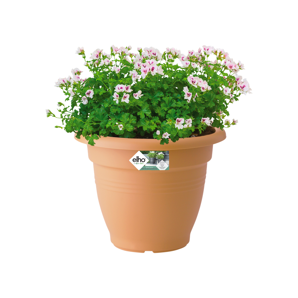 Green Basics Campana 30