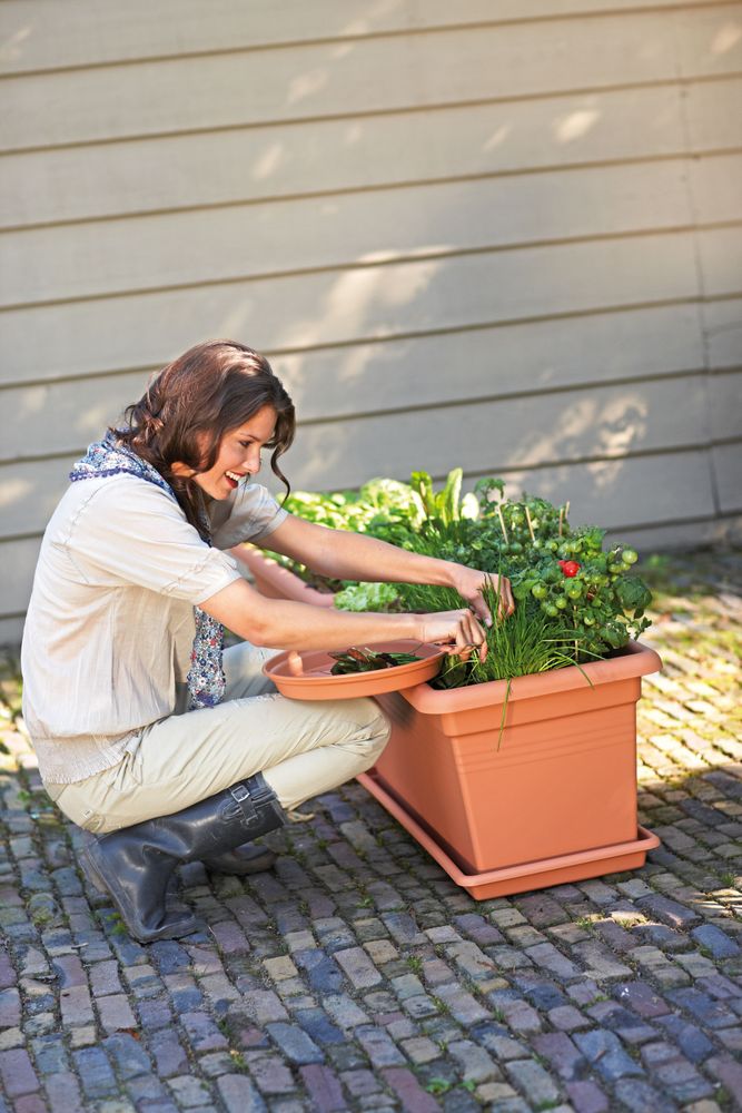Green Basics Garden Xxl Schotel 60