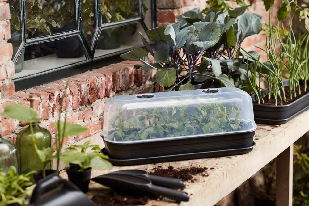 Green Basics Kweektray L