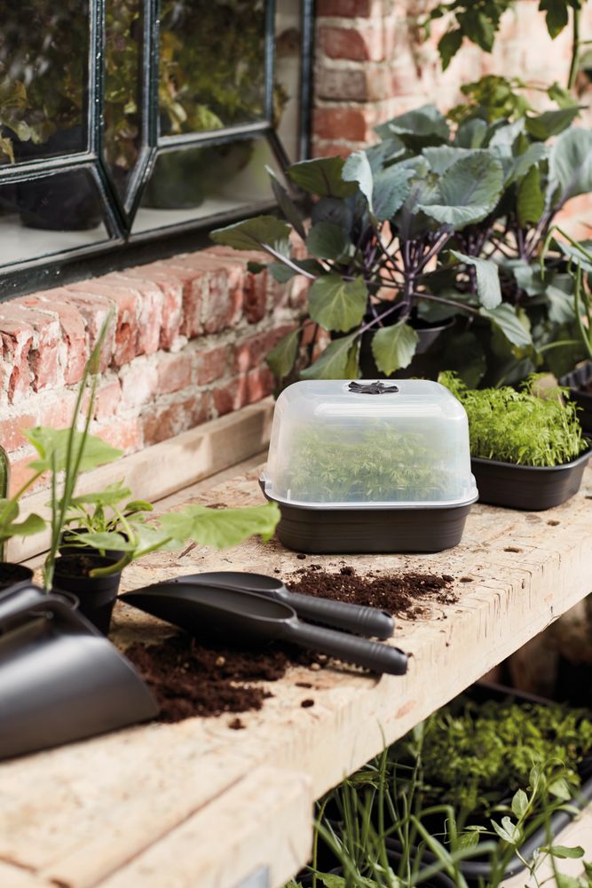 Green Basics Kweektray S
