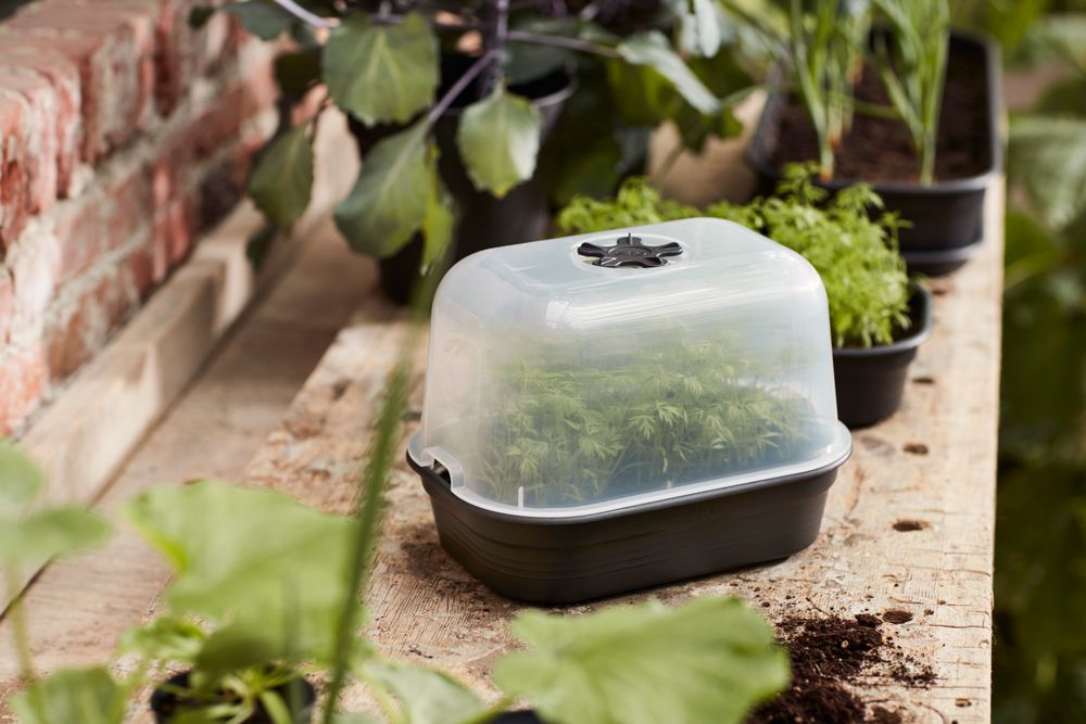 Green Basics Kweekhuis S