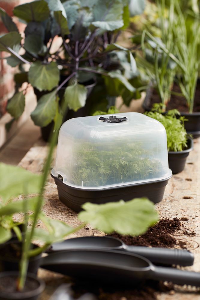 Green Basics Kweekhuis S