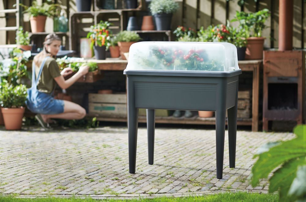 Green Basics Kweekhuis Xxl 75