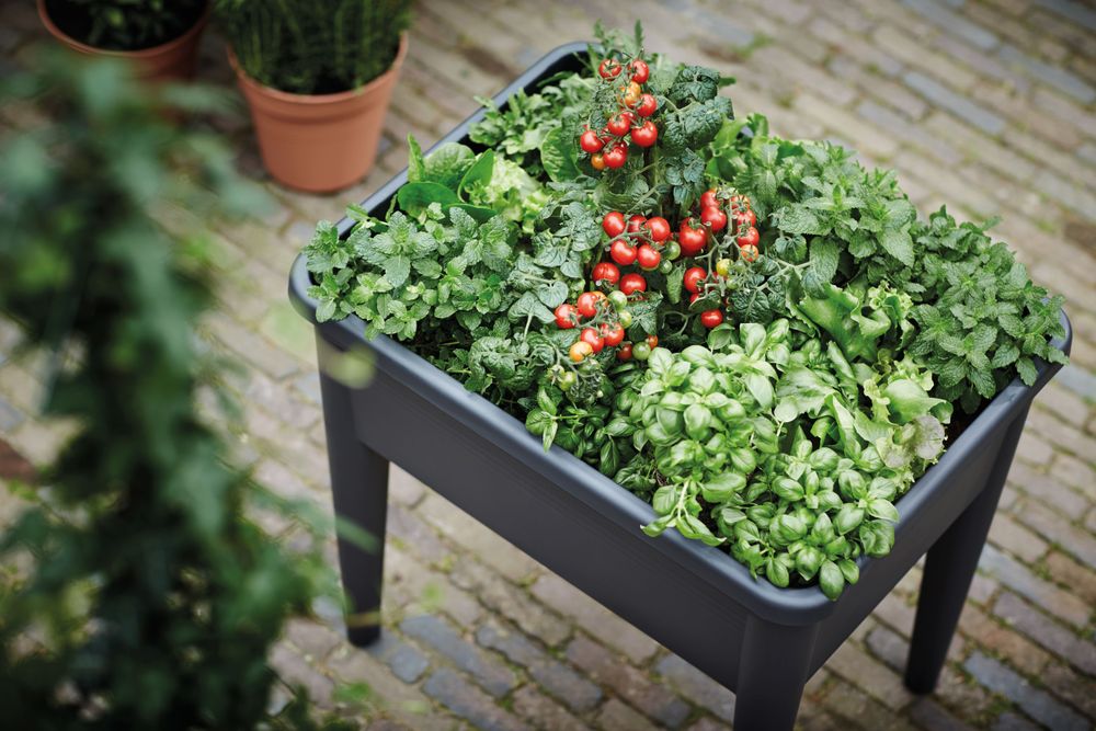 Green Basics Kweektafel Super Xxl