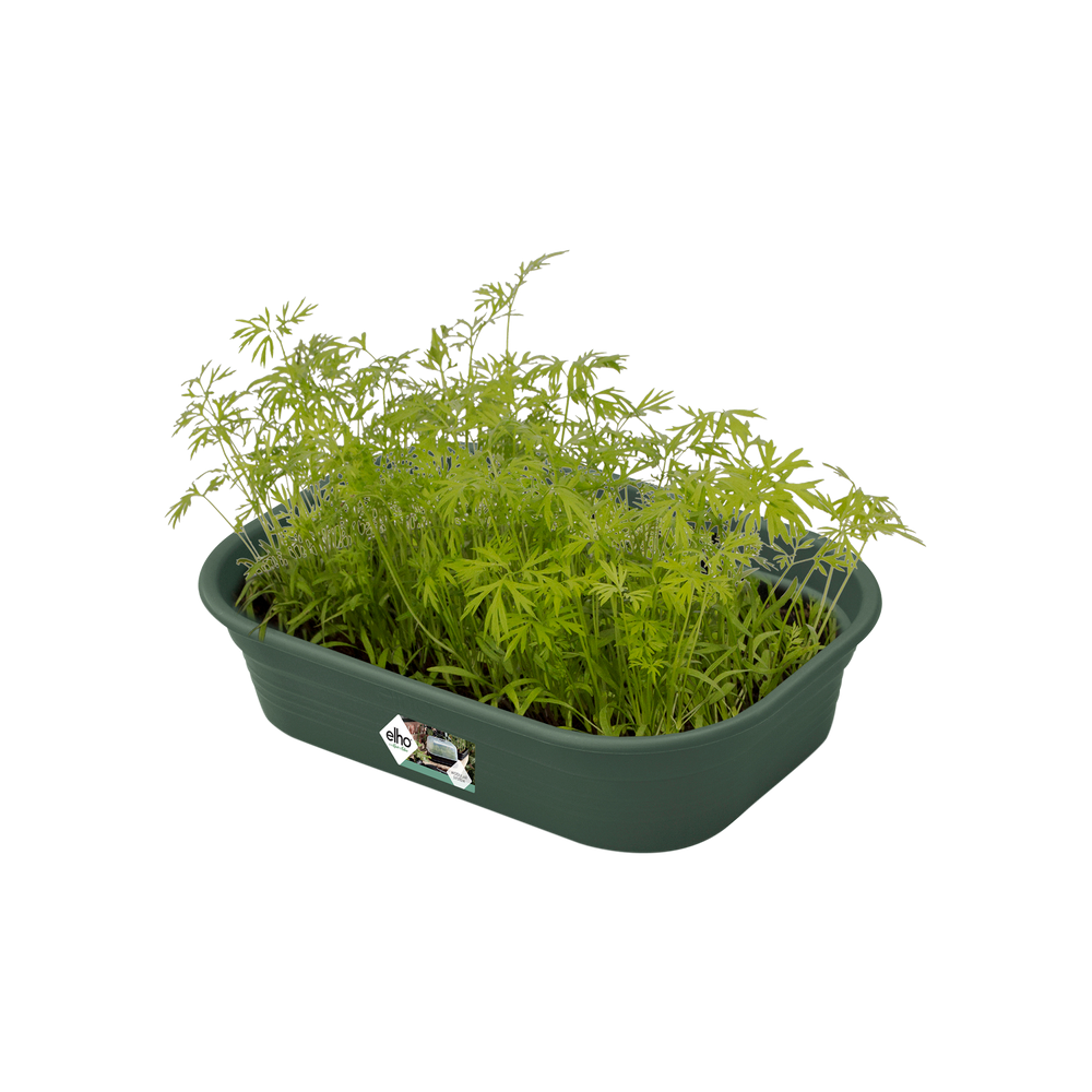 Green Basics Kweektray S
