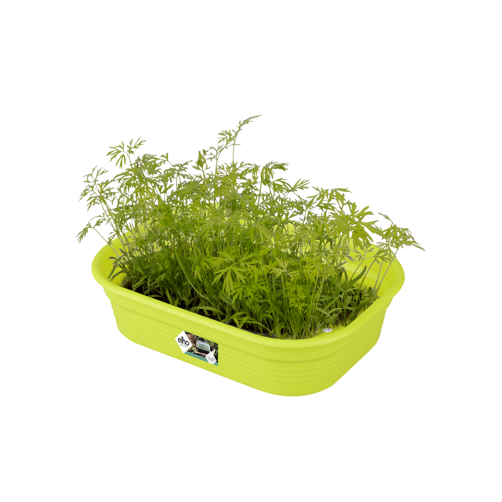 Green Basics Kweektray S