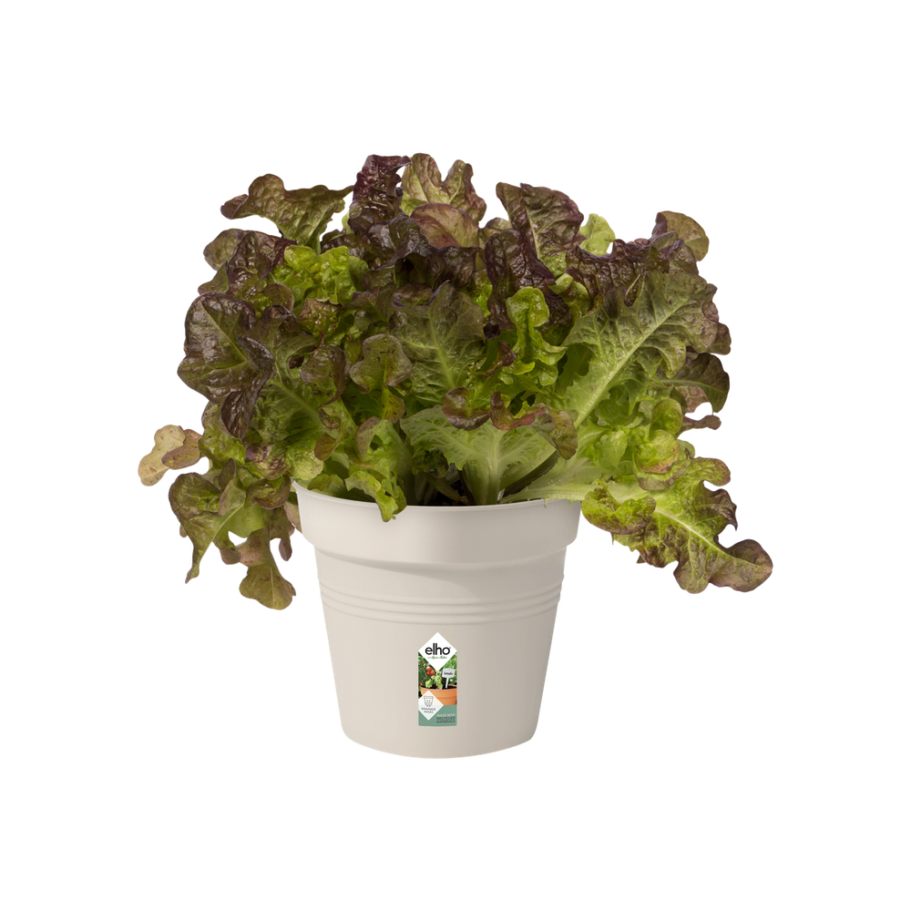 Green Basics Kweekpot 11