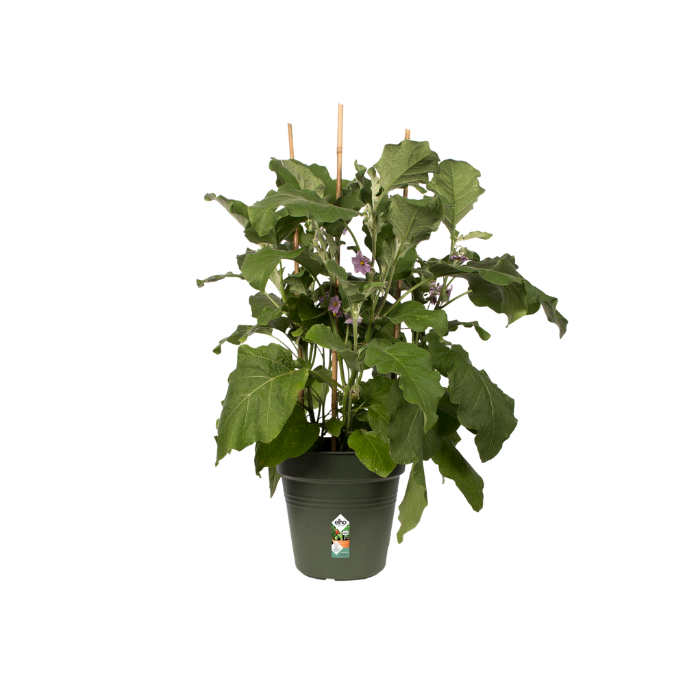 Green Basics Kweekpot 35