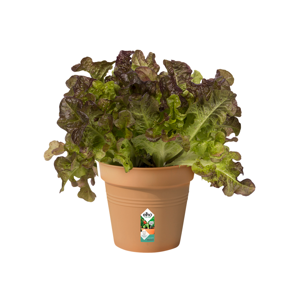 Green Basics Kweekpot 11