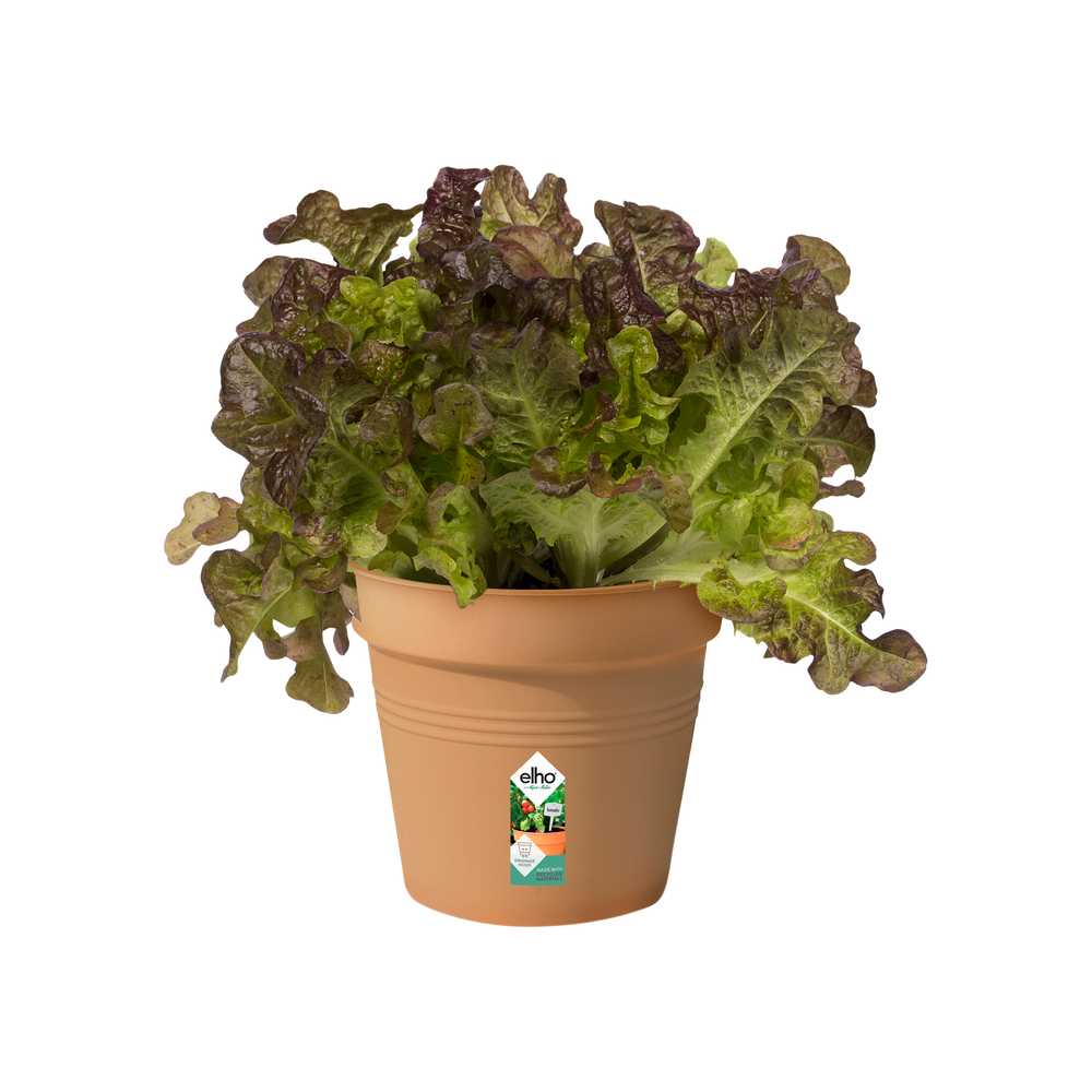 Green Basics Kweekpot 15