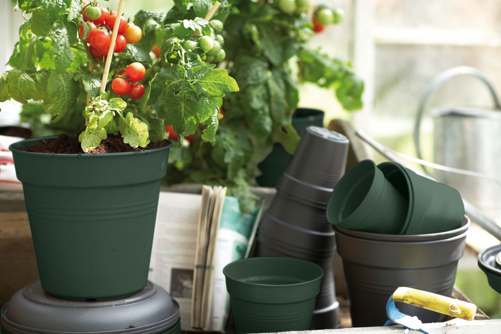 Green Basics Kweekpot 11