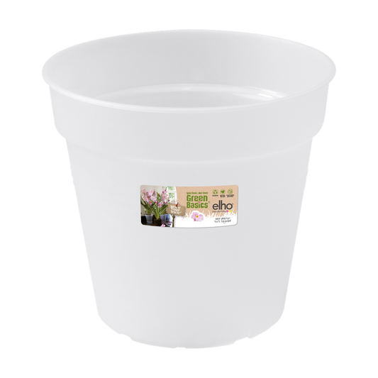 Green Basics Orchidee 15