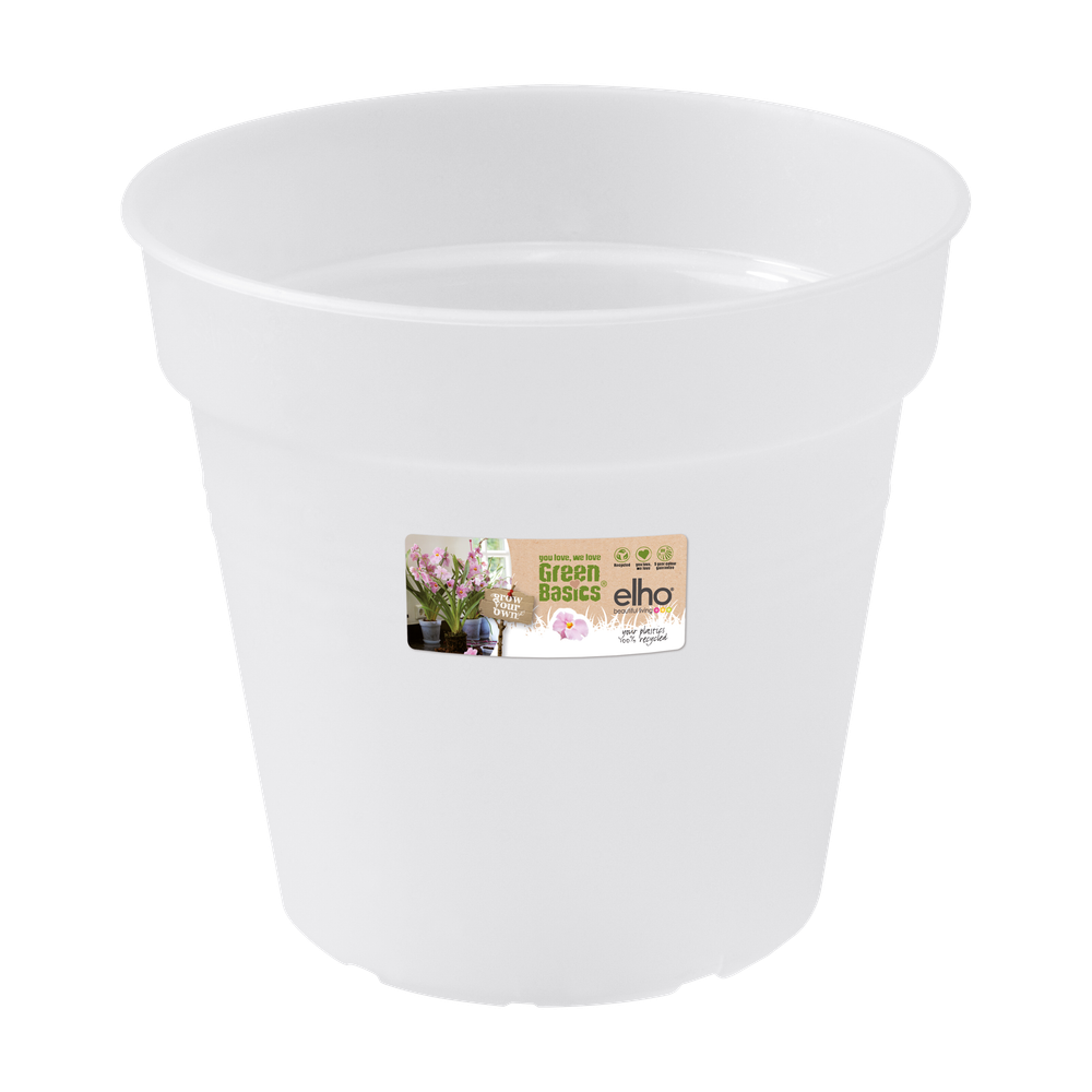 Green Basics Orchidee 17