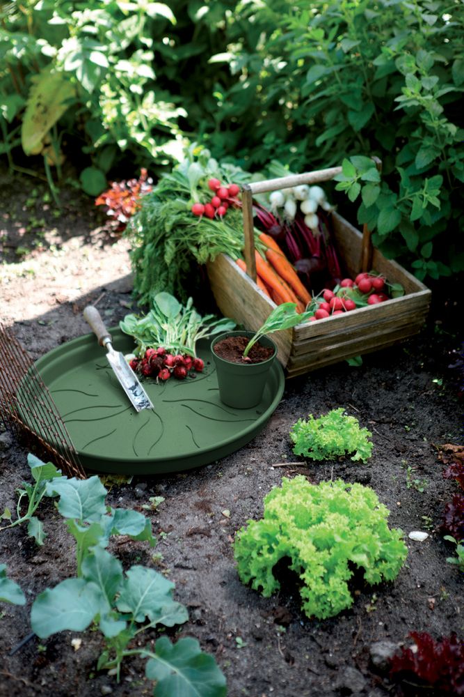 Green Basics Schotel 14