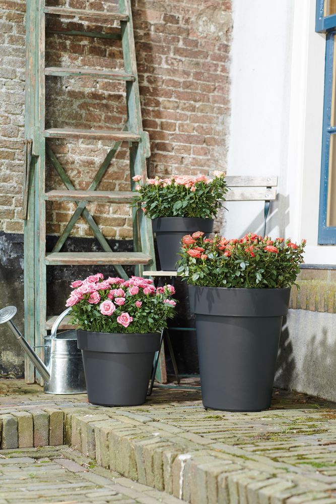 Green Basics Top Planter 23
