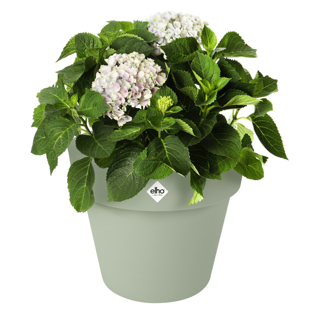 Green Basics Top Planter 40