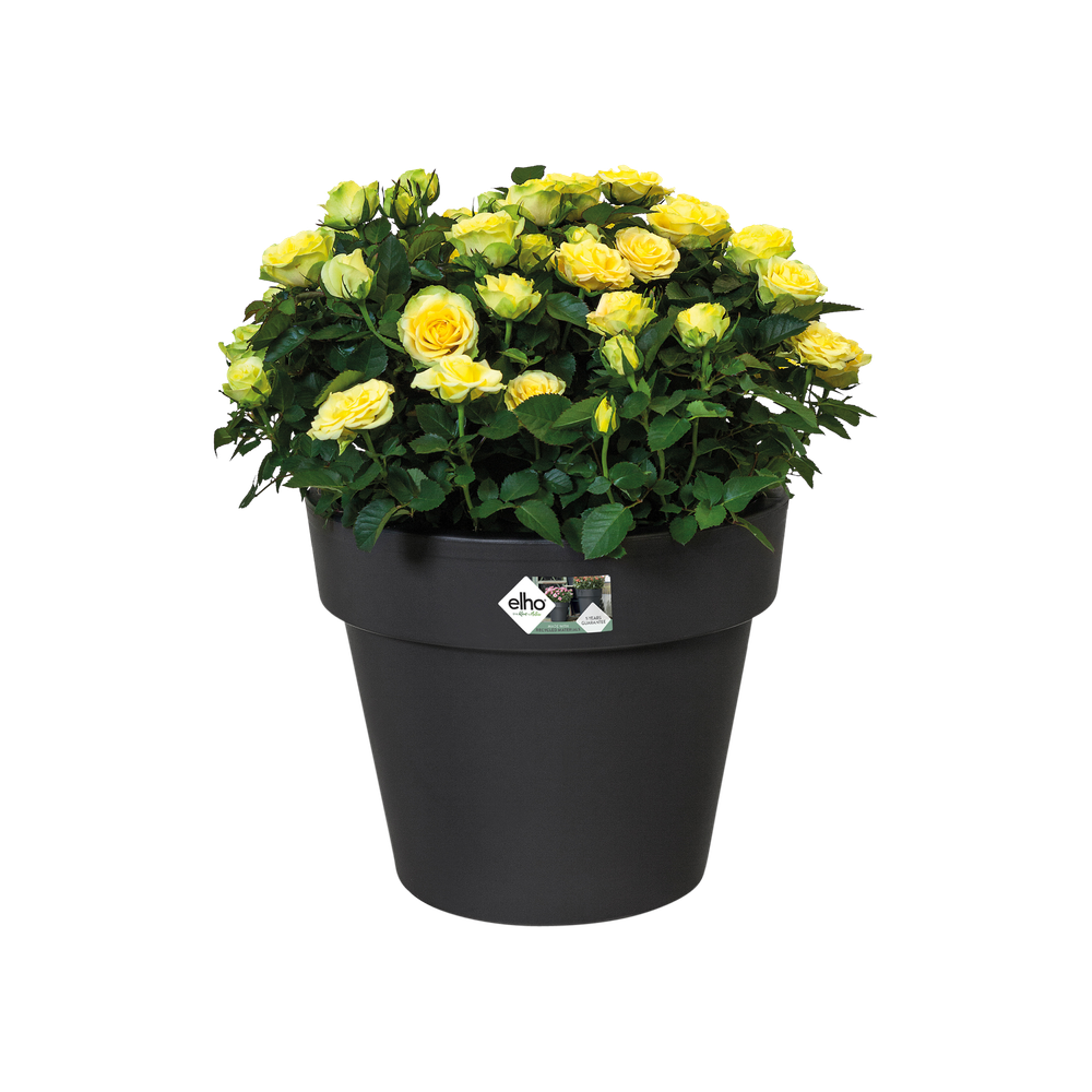 Green Basics Top Planter 40