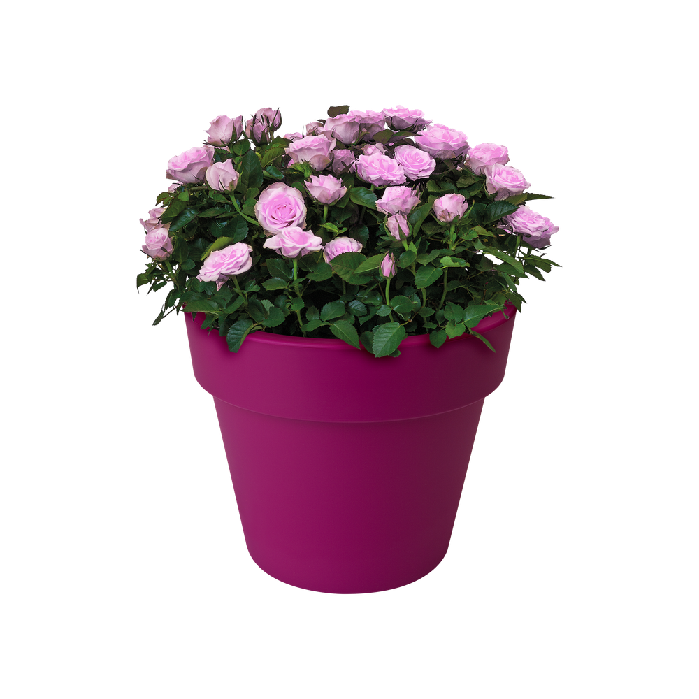 Green Basics Top Planter 47