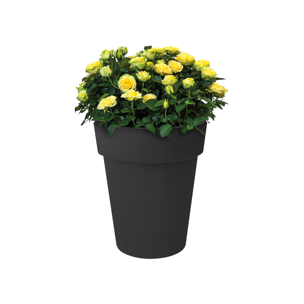 Green Basics Top Planter Hoog 35