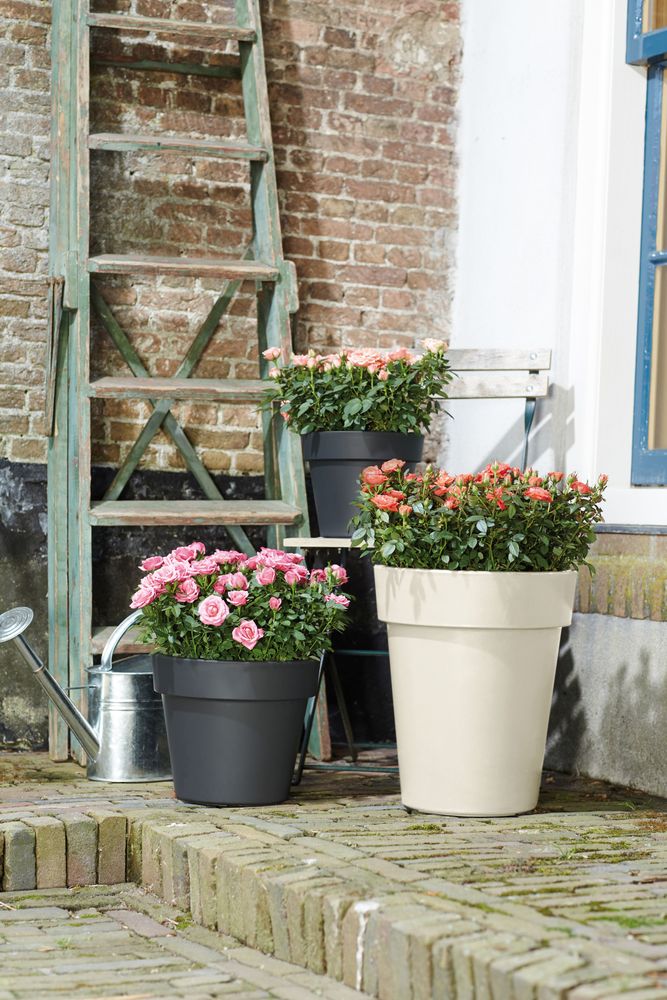 Green Basics Top Planter Hoog 35