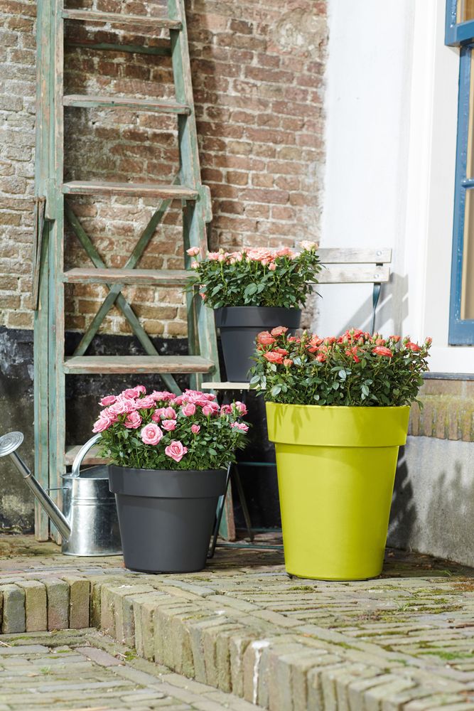 Green Basics Top Planter Hoog 35