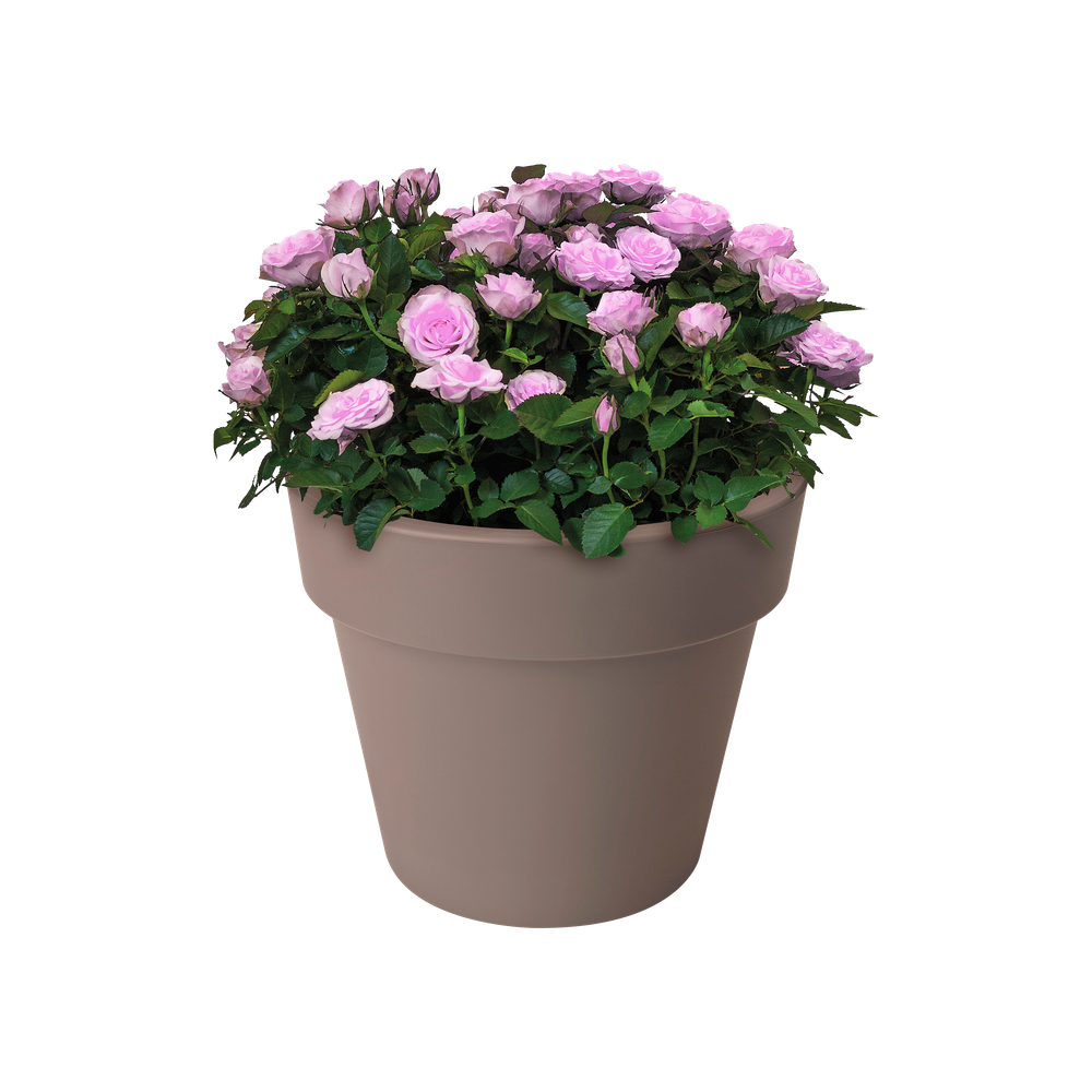 Green Basics Top Planter 47