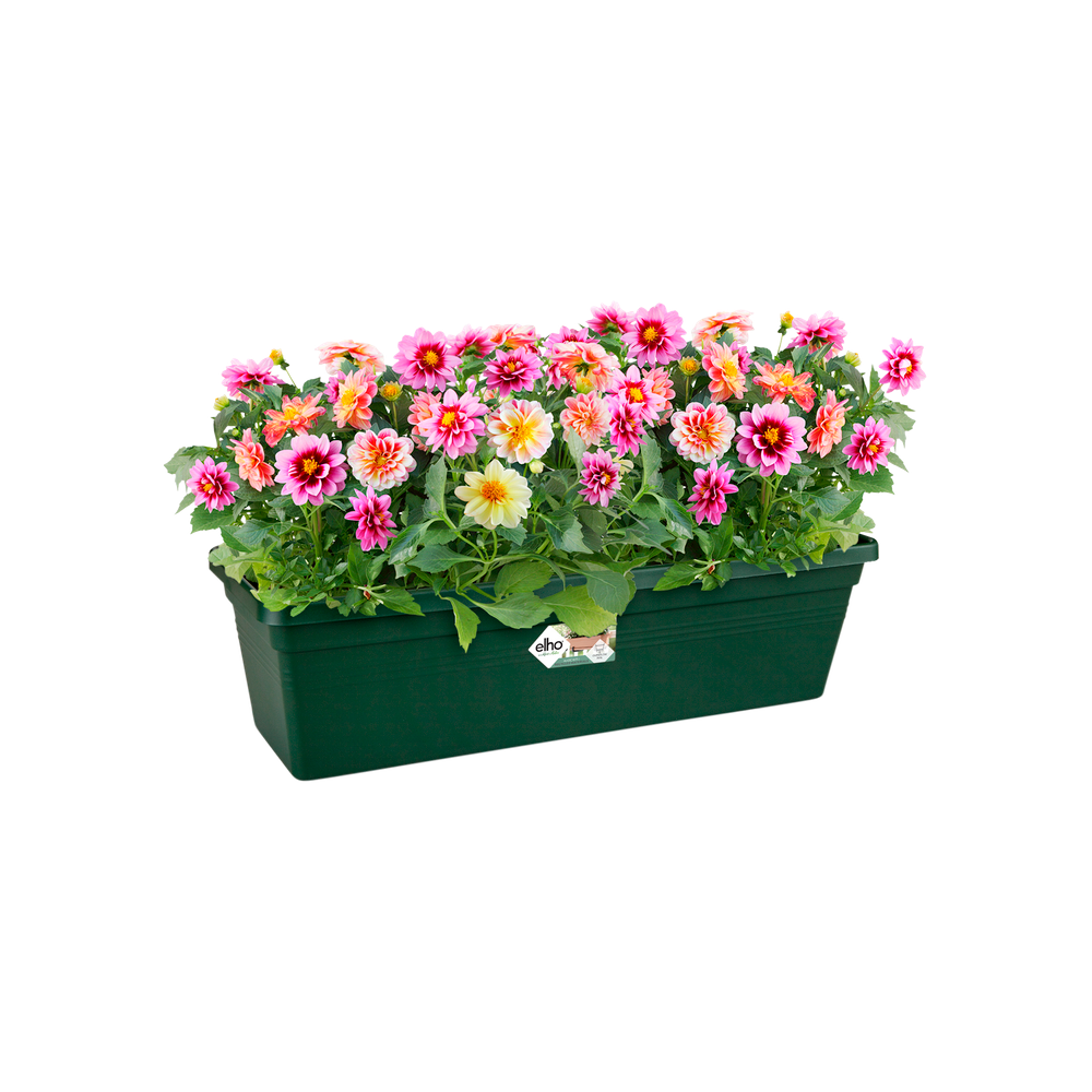 Green Basics Balkonbak 60