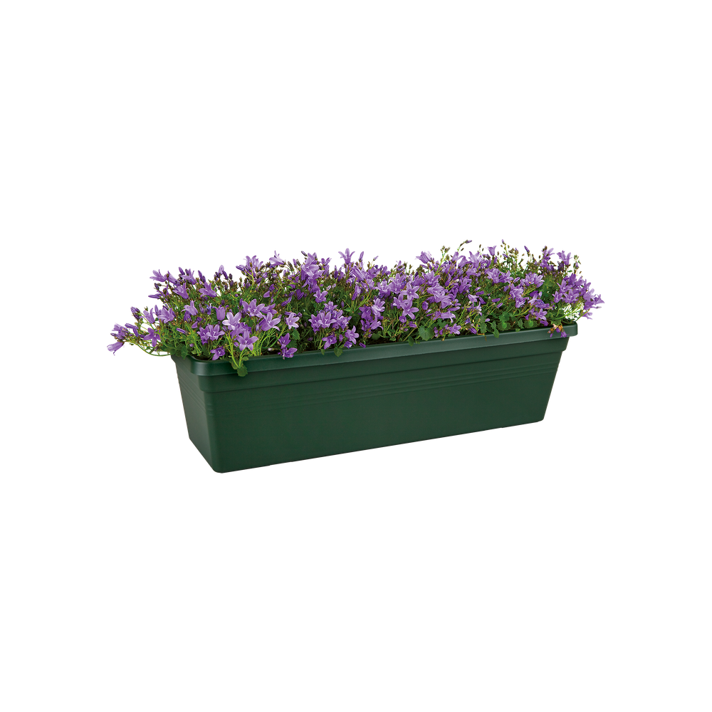 Green Basics Balkonbak 50
