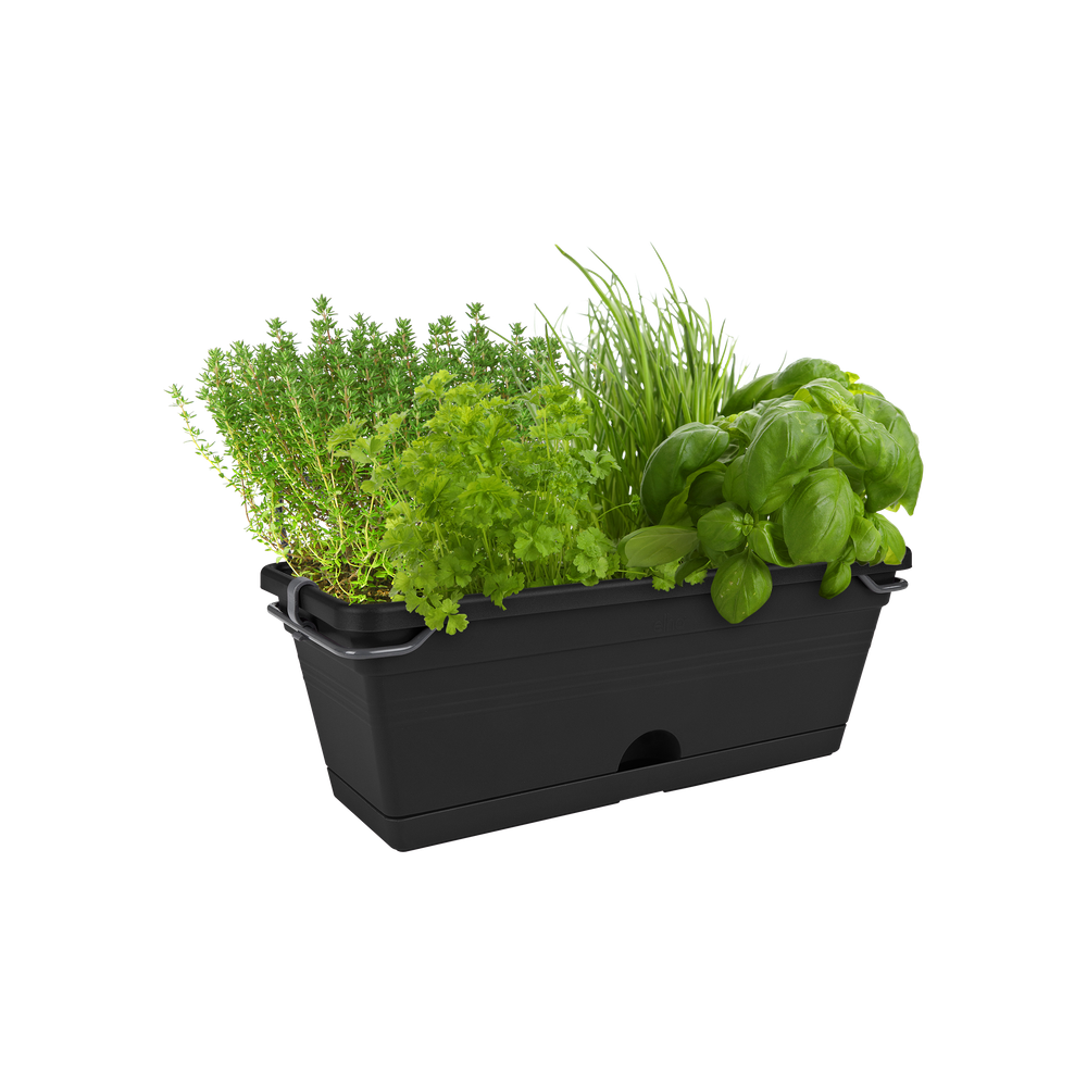 Green Basics Balkonbak Mini Allin1 30