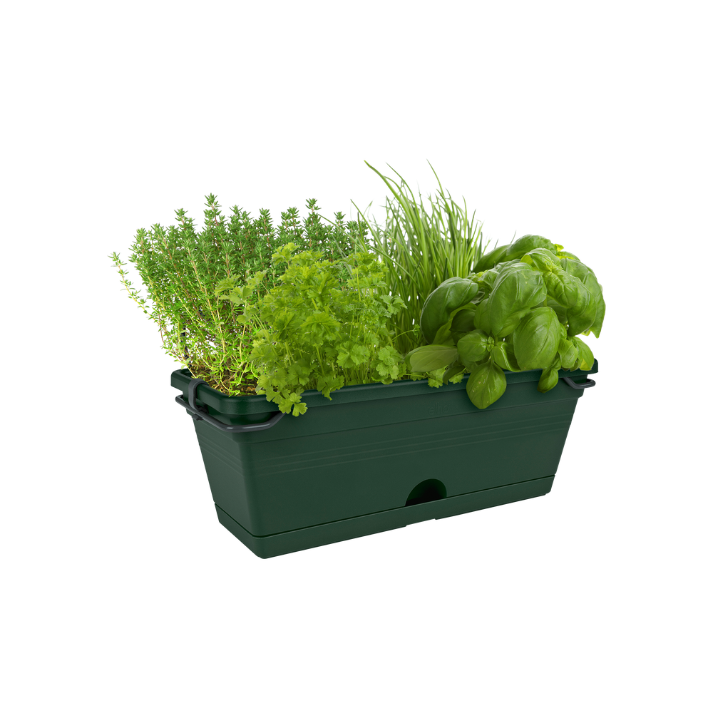 Green Basics Balkonbak Mini Allin1 30